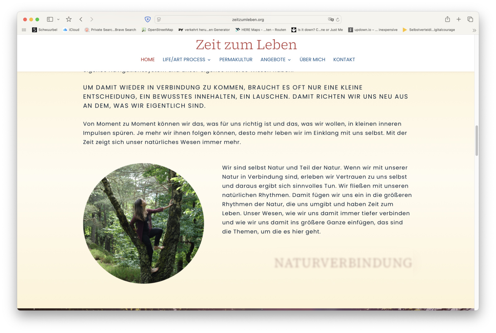 Webdesign by silke